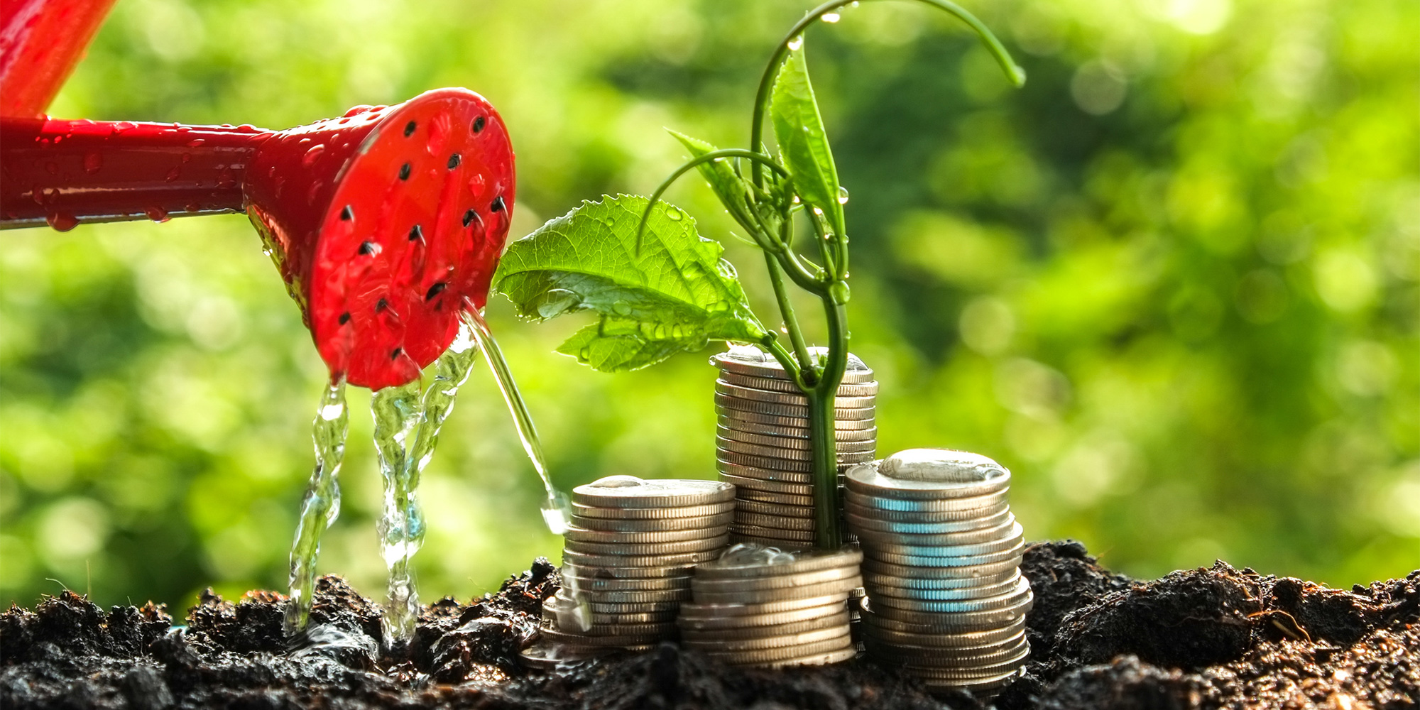 Alternativ-Vorschlag: Geld sparen im Alltag: Diese cleveren Tipps sind Bares wert