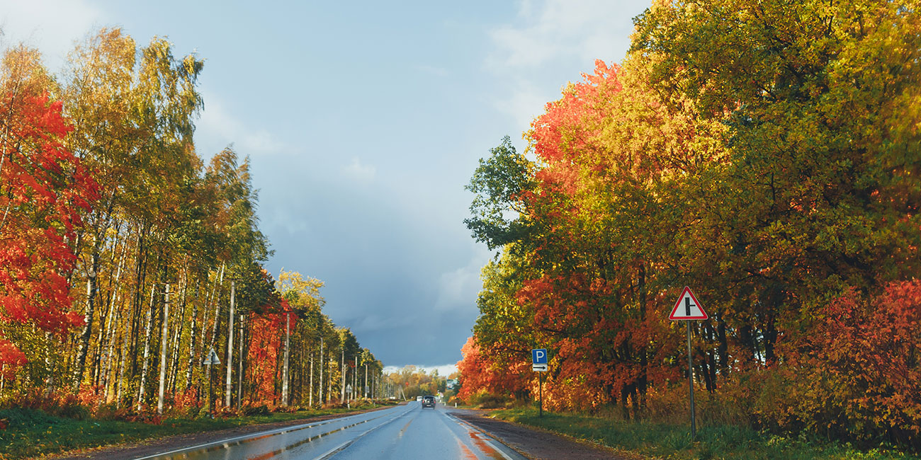 Tipps für sicheres Autofahren im Herbst - Blog Dacia