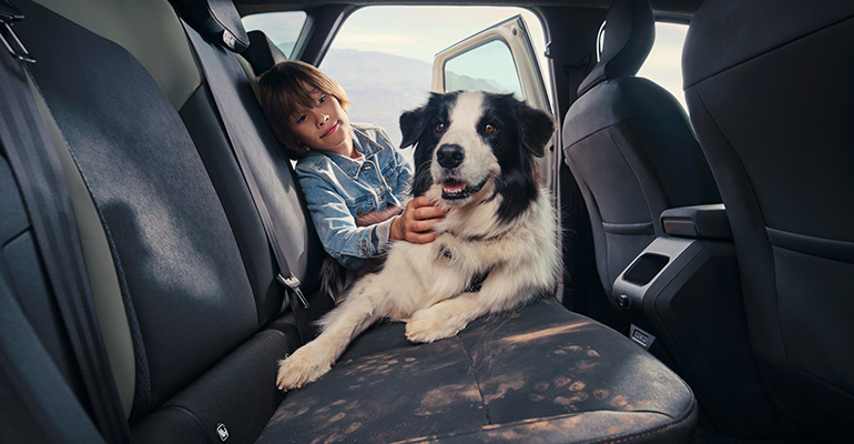 Autofahren mit dem Hund