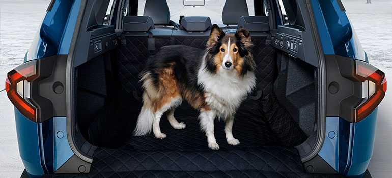 Hundetransport